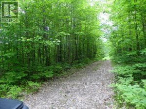 vacant land at 50 ACRES IN MUSKOKA NORTH OF BALA PCL 31045 — $399,000