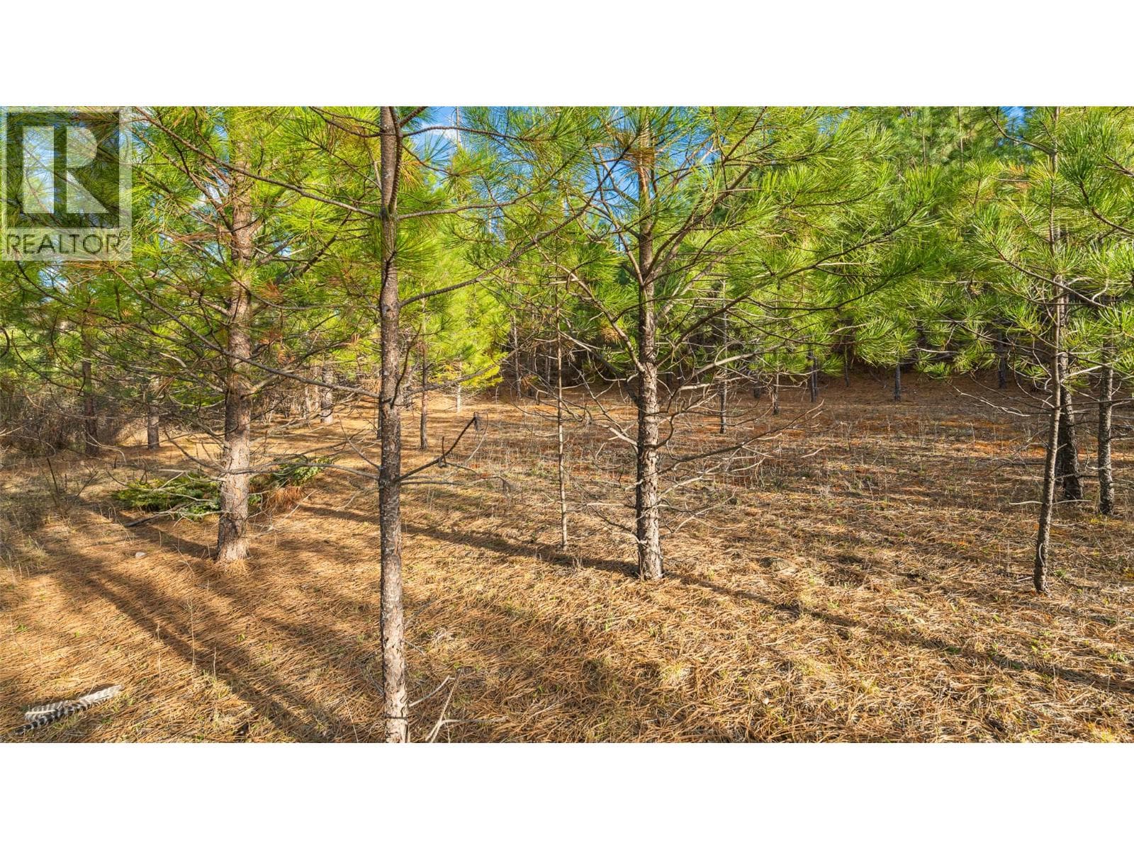 2075 Highland Crescent photo 3