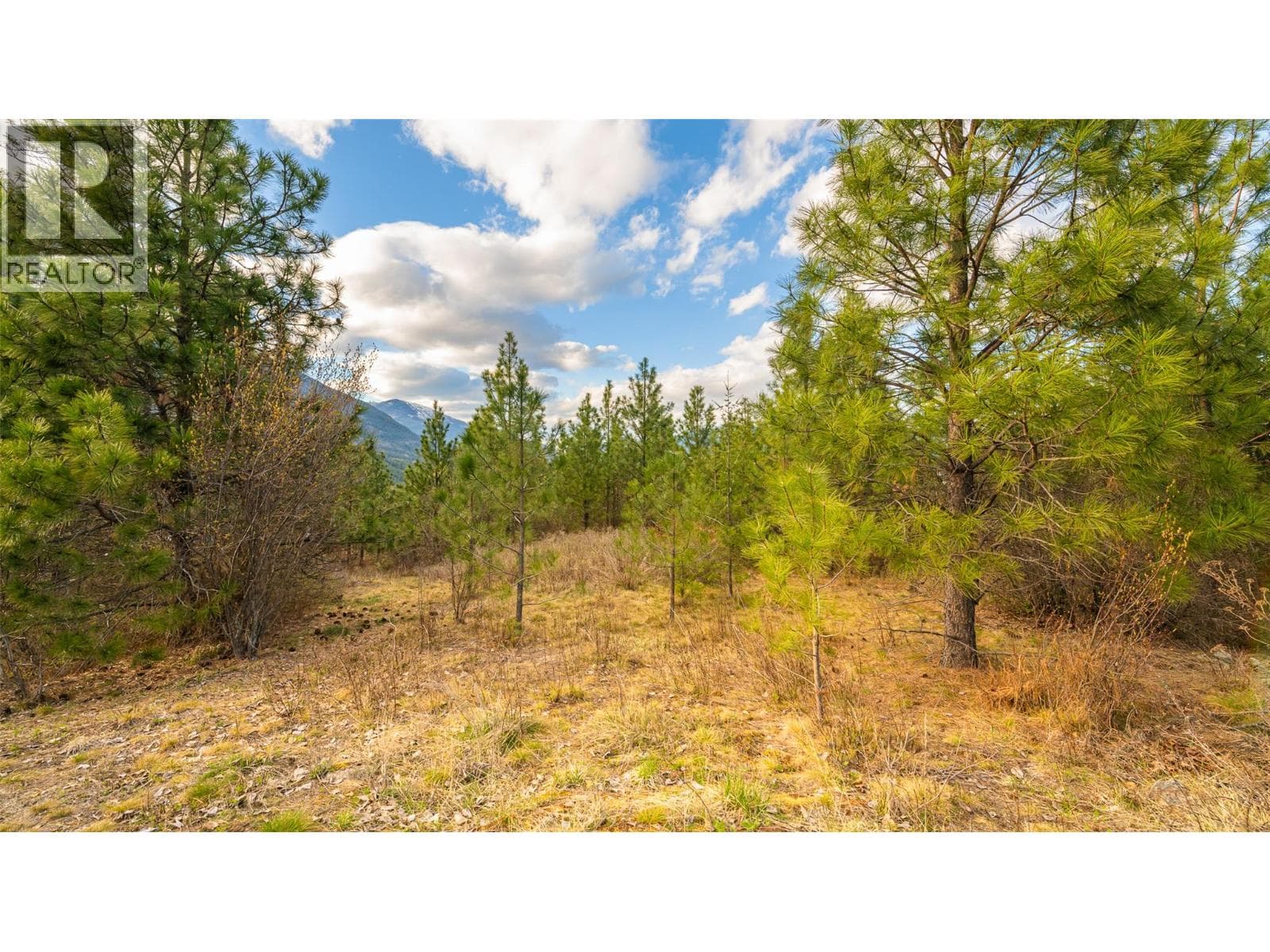 2075 Highland Crescent photo 2