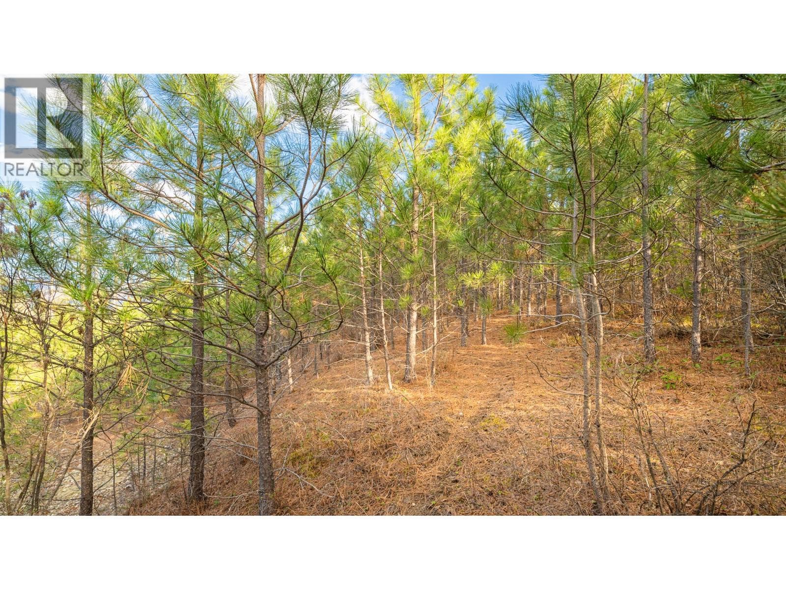 2075 Highland Crescent photo 4