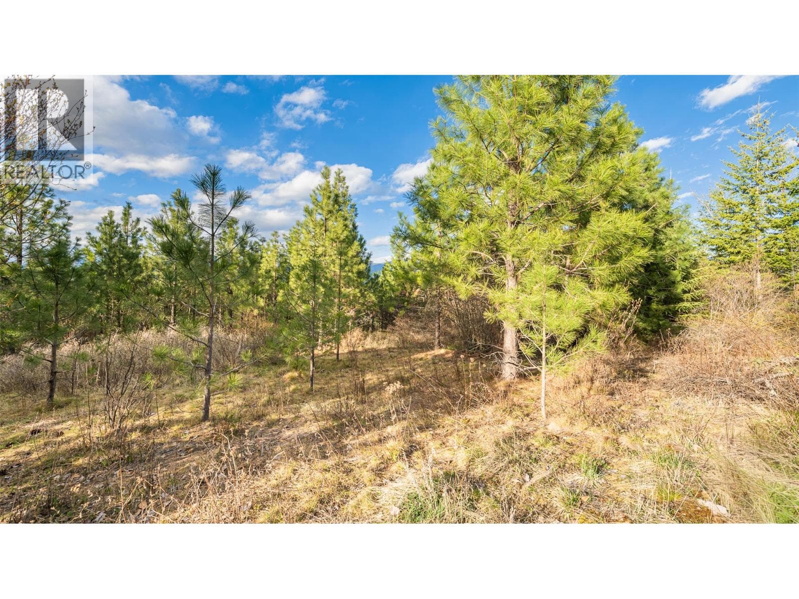 2075 Highland Crescent photo 5