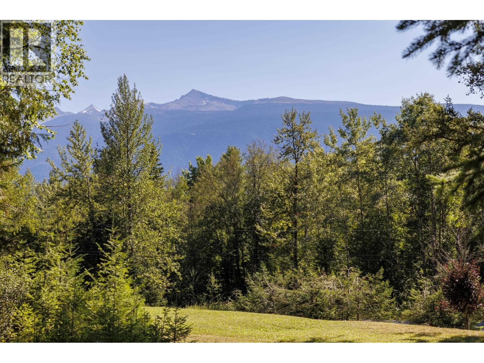 4040 MOUNTAIN VIEW ROAD photo 2