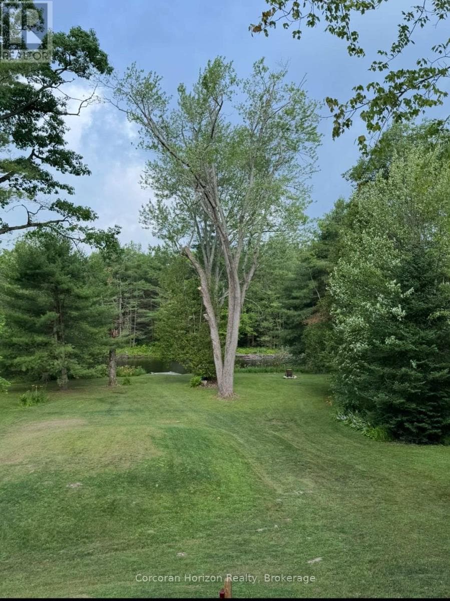 3000 WHELAN WAY photo 4
