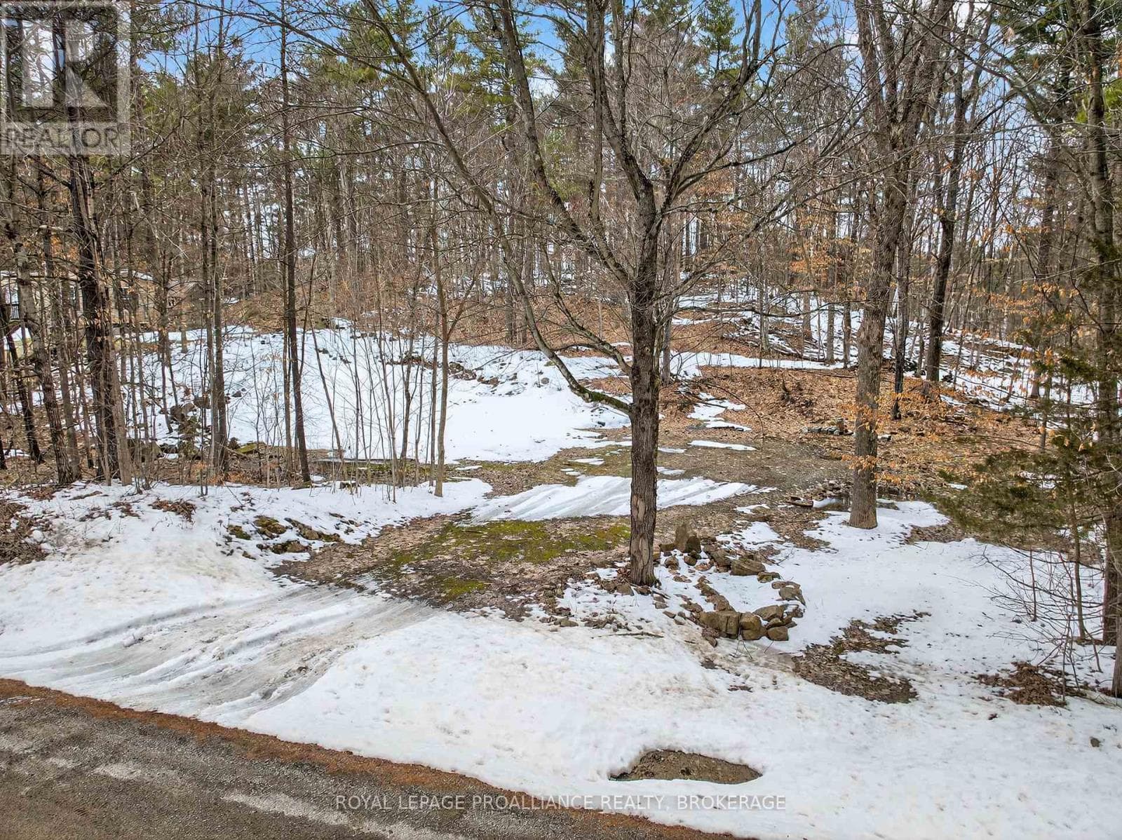 PT LT 18 CLEAR LAKE ROAD photo 3