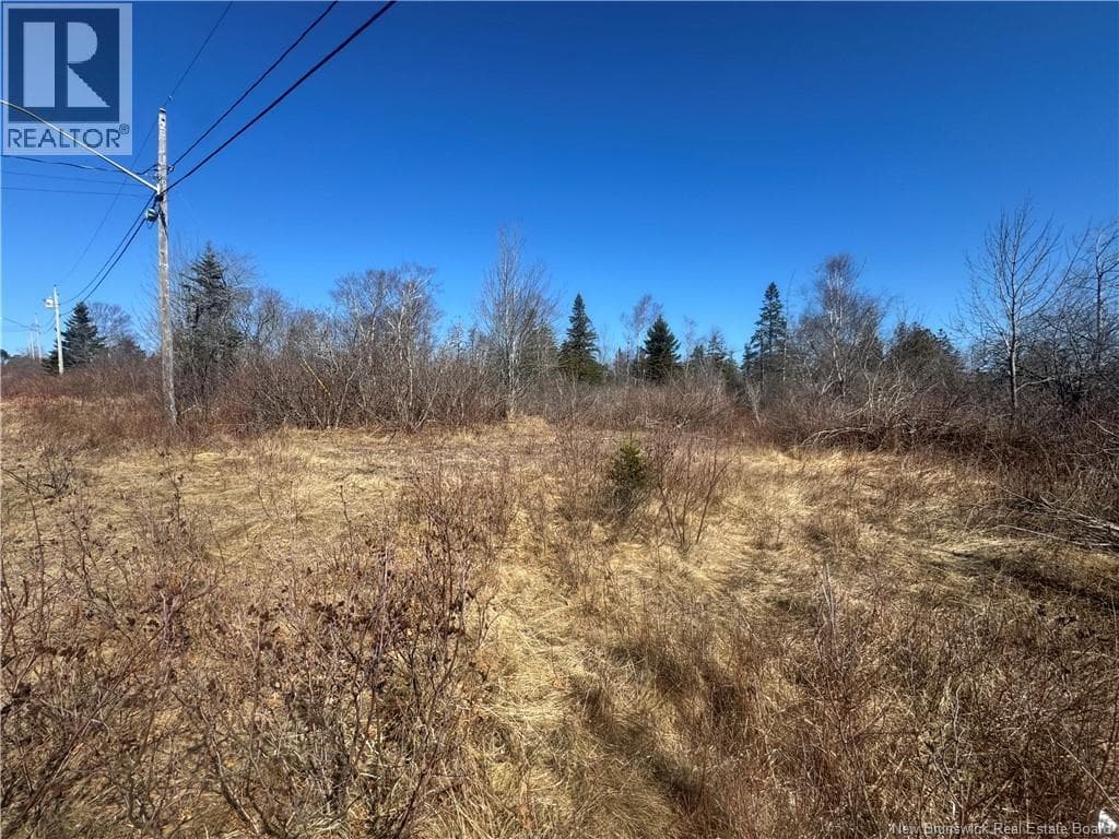 90 FOSTER HILL Road photo 5