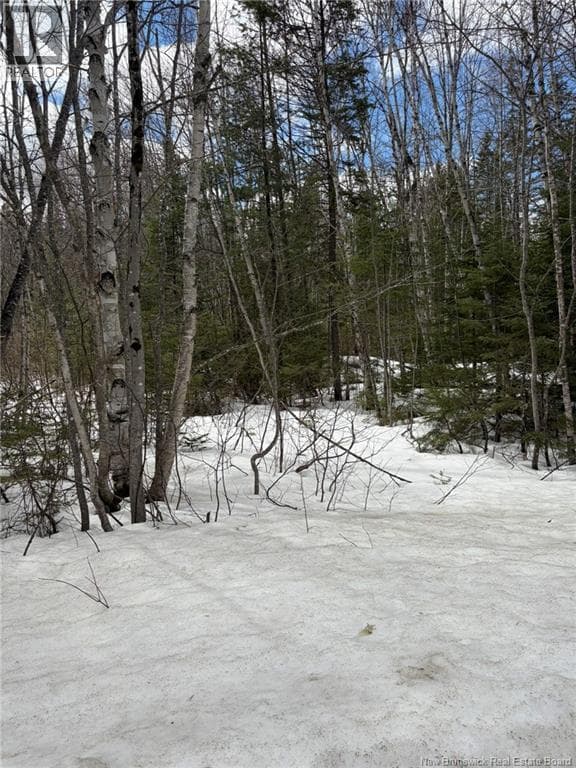 3.7 Acres Route 435 photo 5