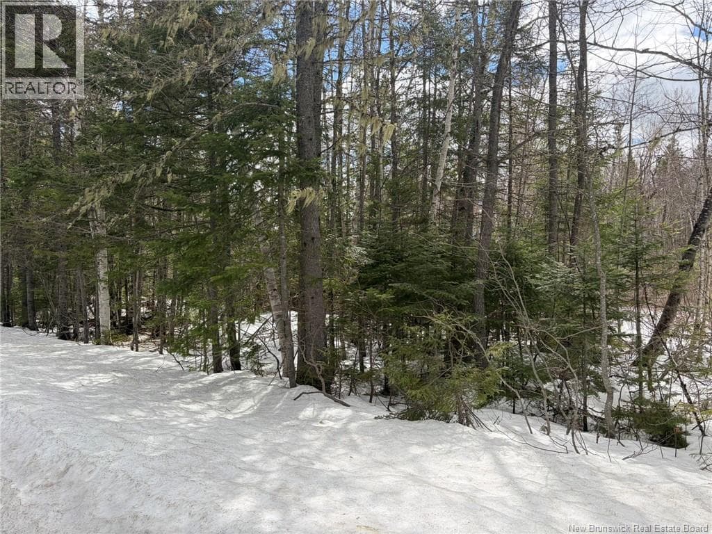 3.7 Acres Route 435 photo 3