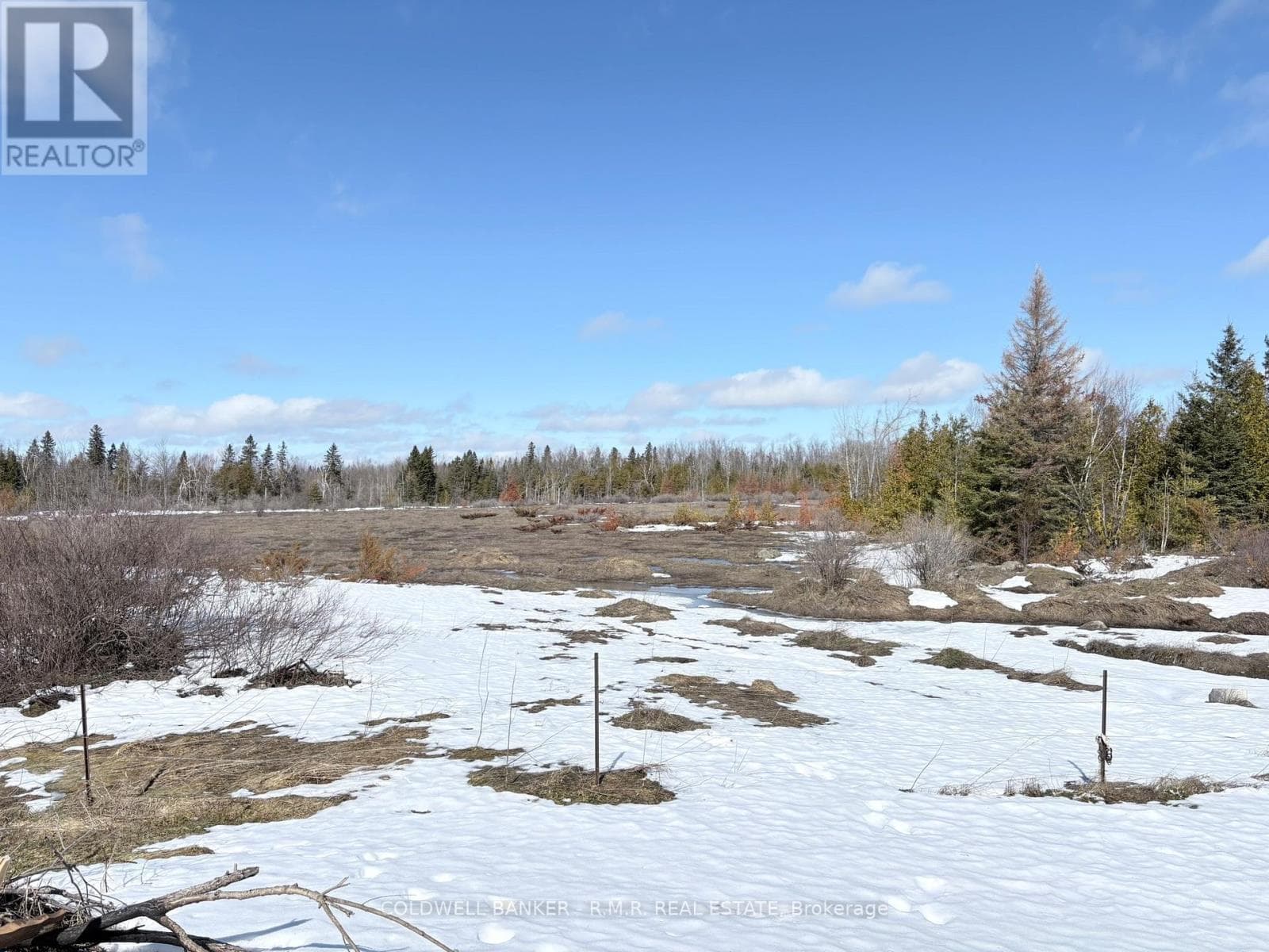268 MCGUIRE BEACH ROAD photo 4