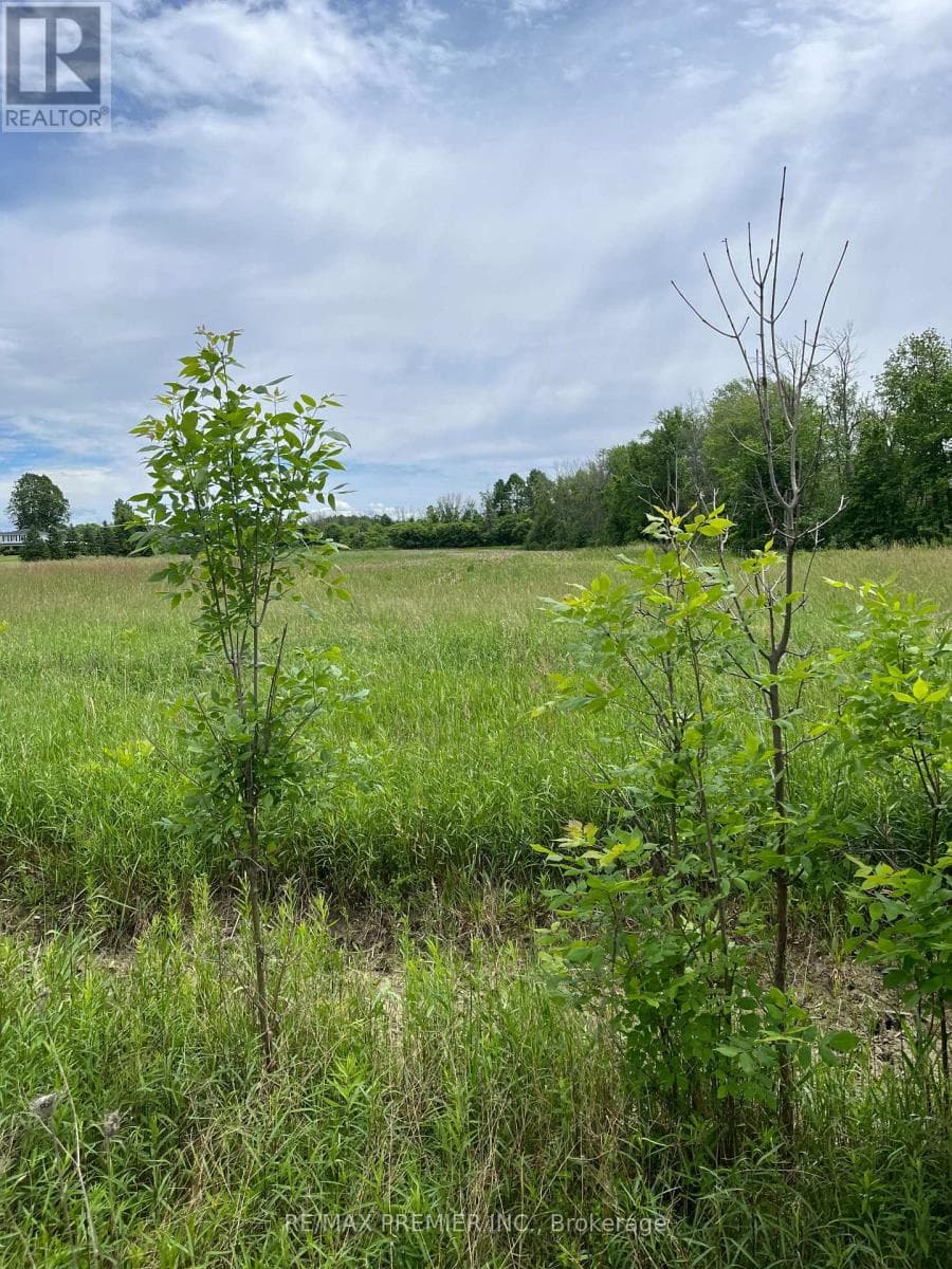 N/A HIGHWAY 48 photo 3