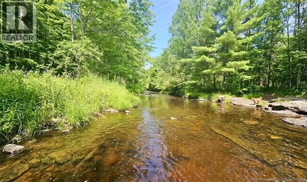 129 PHILLIPS Road photo 3