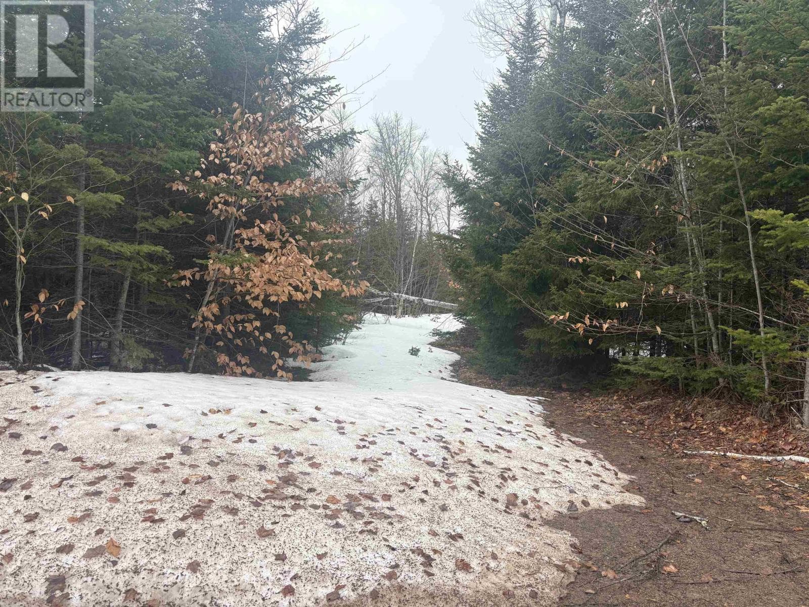 vacant land at Collins Road — $49,000