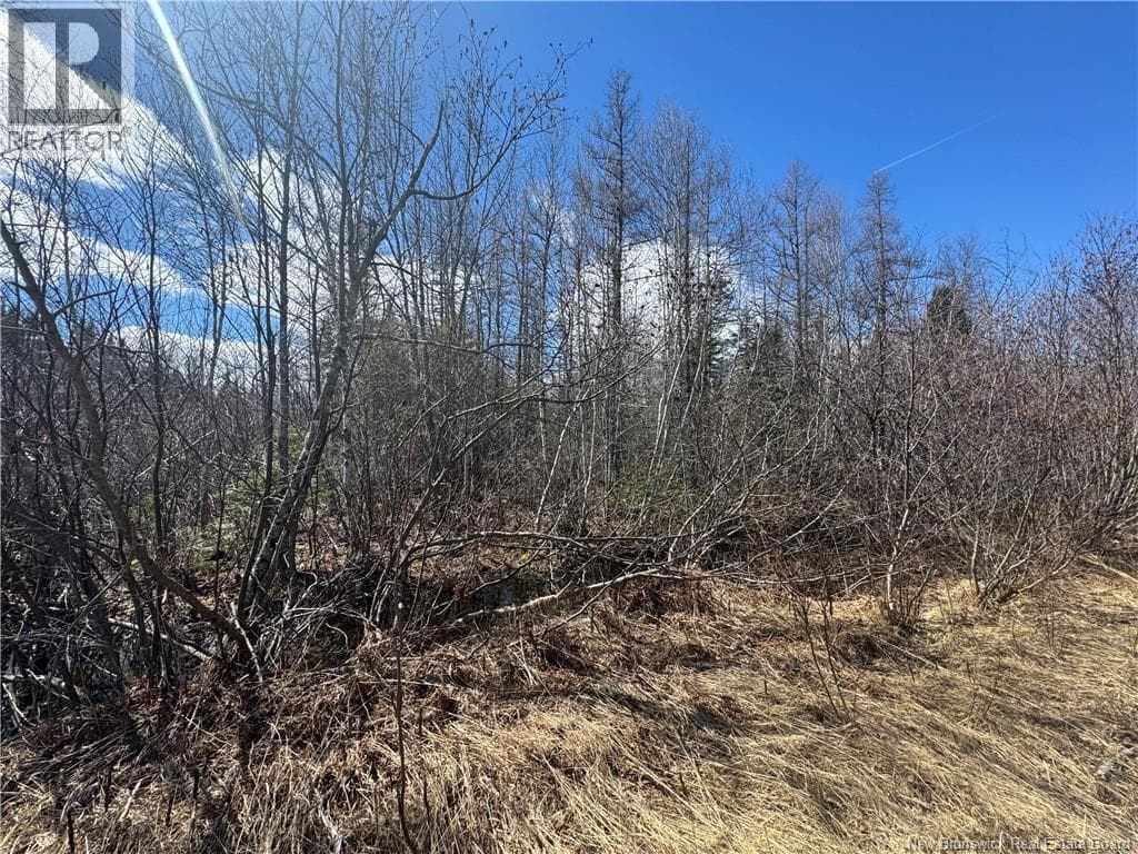 vacant land at 00 Dickson Road — $50,000