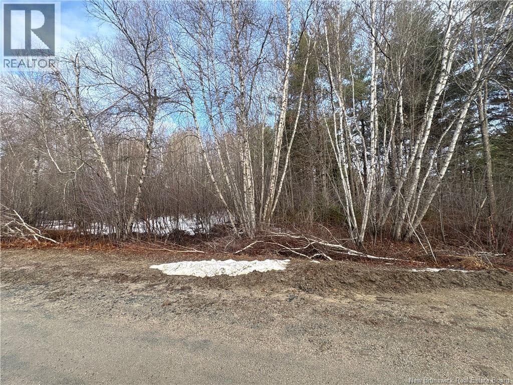 Lot 78-32 Power Street photo 2