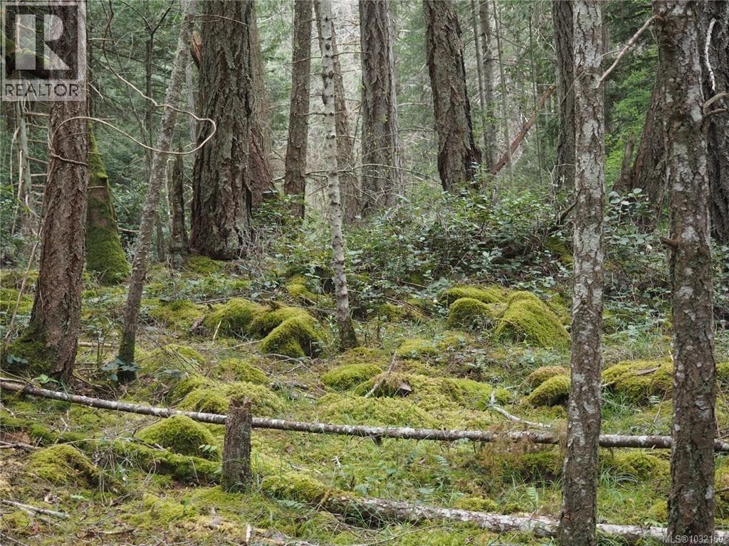 Lot 88 Sockeye Dr photo 2