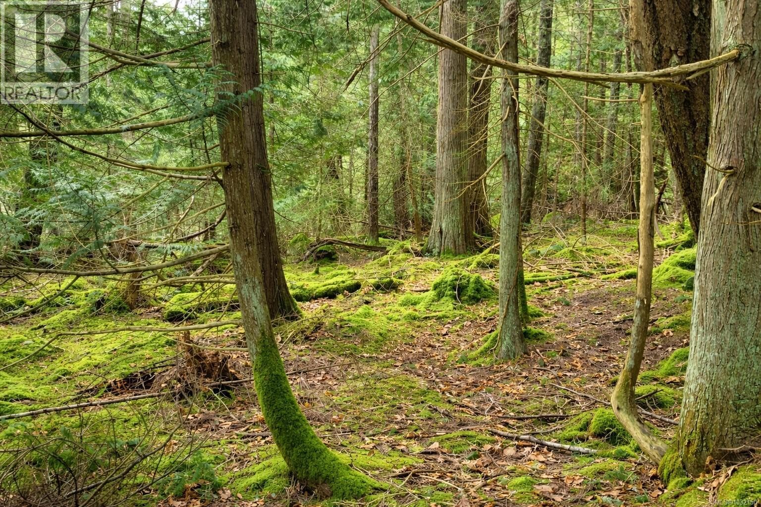 Lot 88 Sockeye Dr photo 3