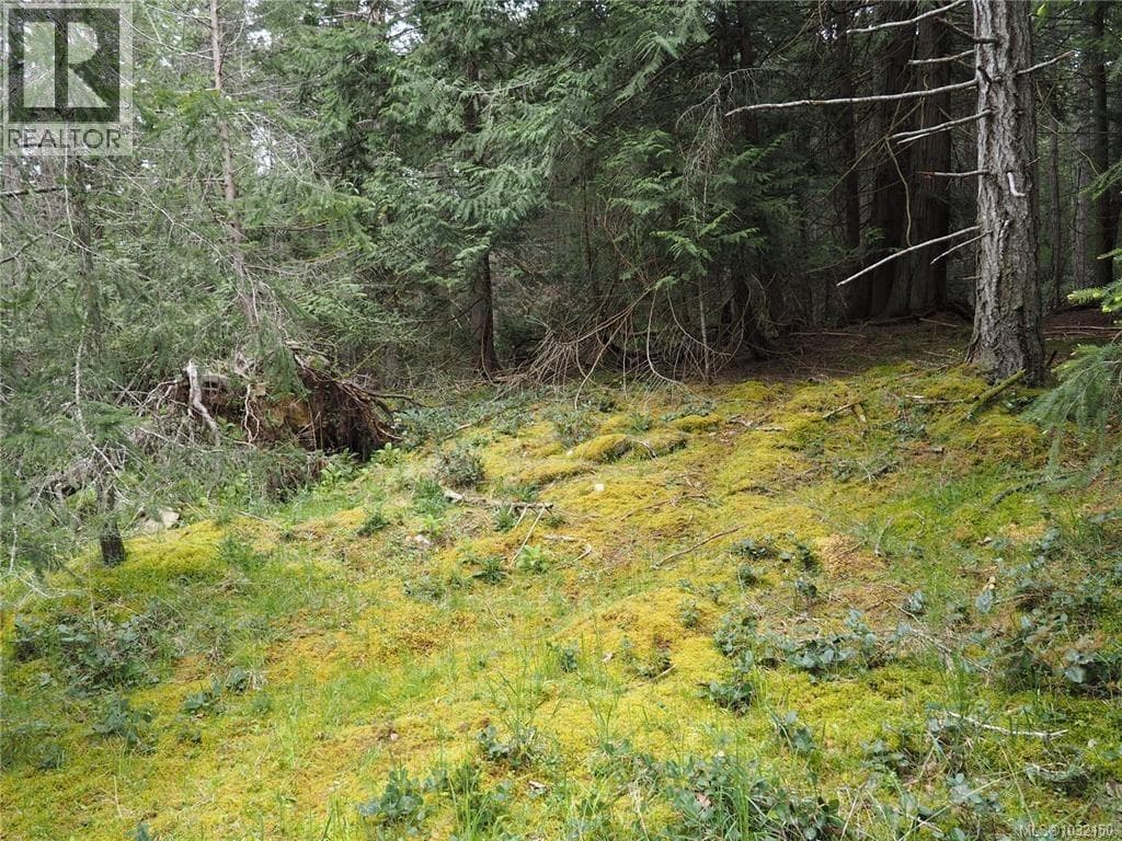 Lot 88 Sockeye Dr photo 4