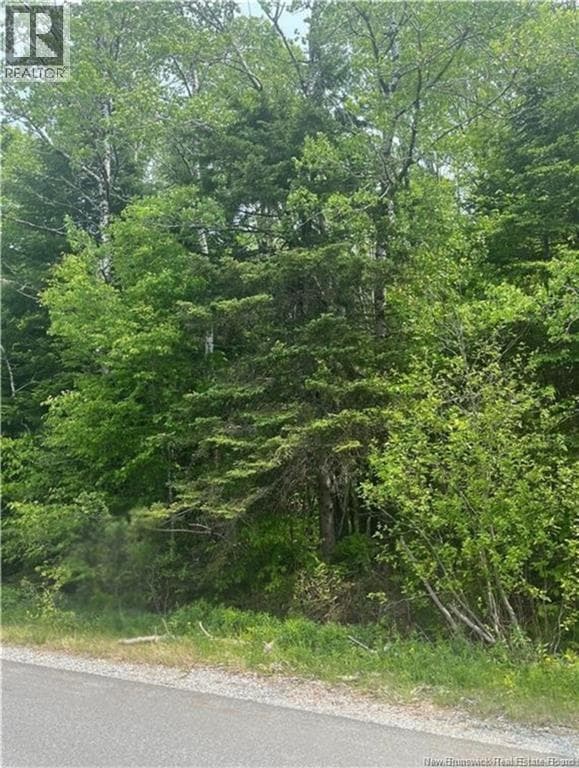 vacant land at 444 Bradley Lake Road — $49,900