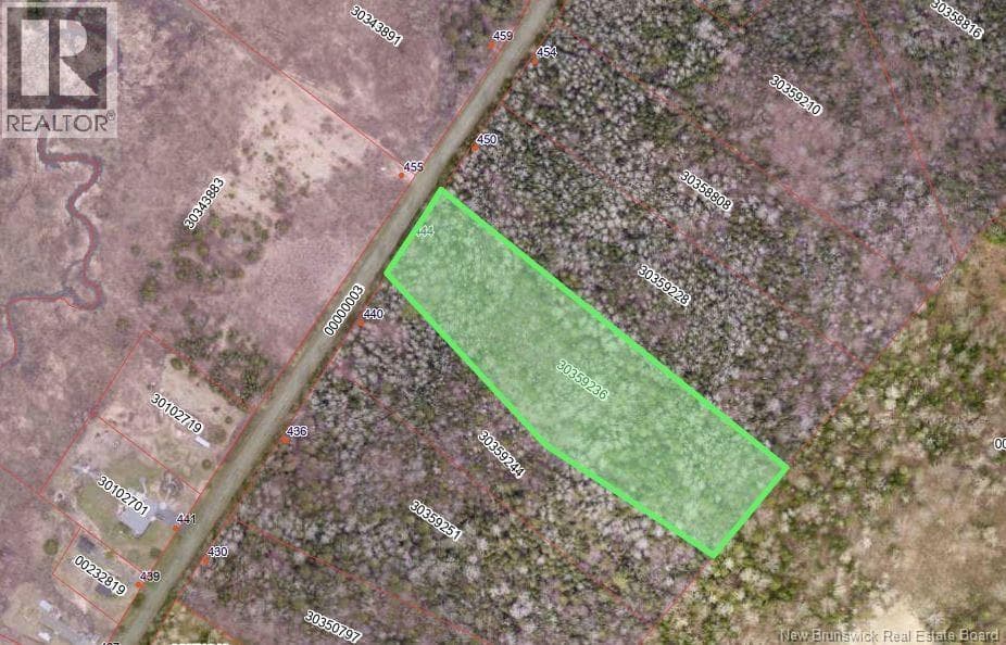 444 Bradley Lake Road photo 2