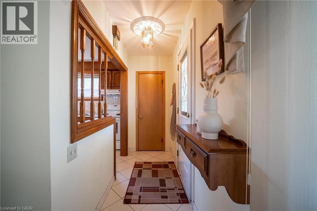 31 TERRACE Drive photo 4