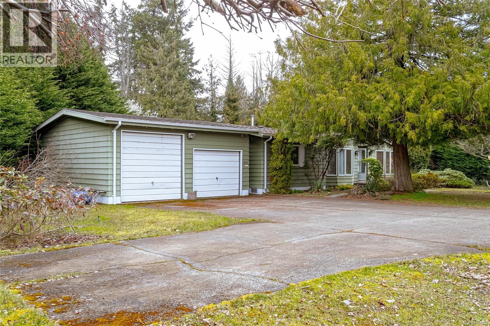 1459 Sunrise Dr photo 3