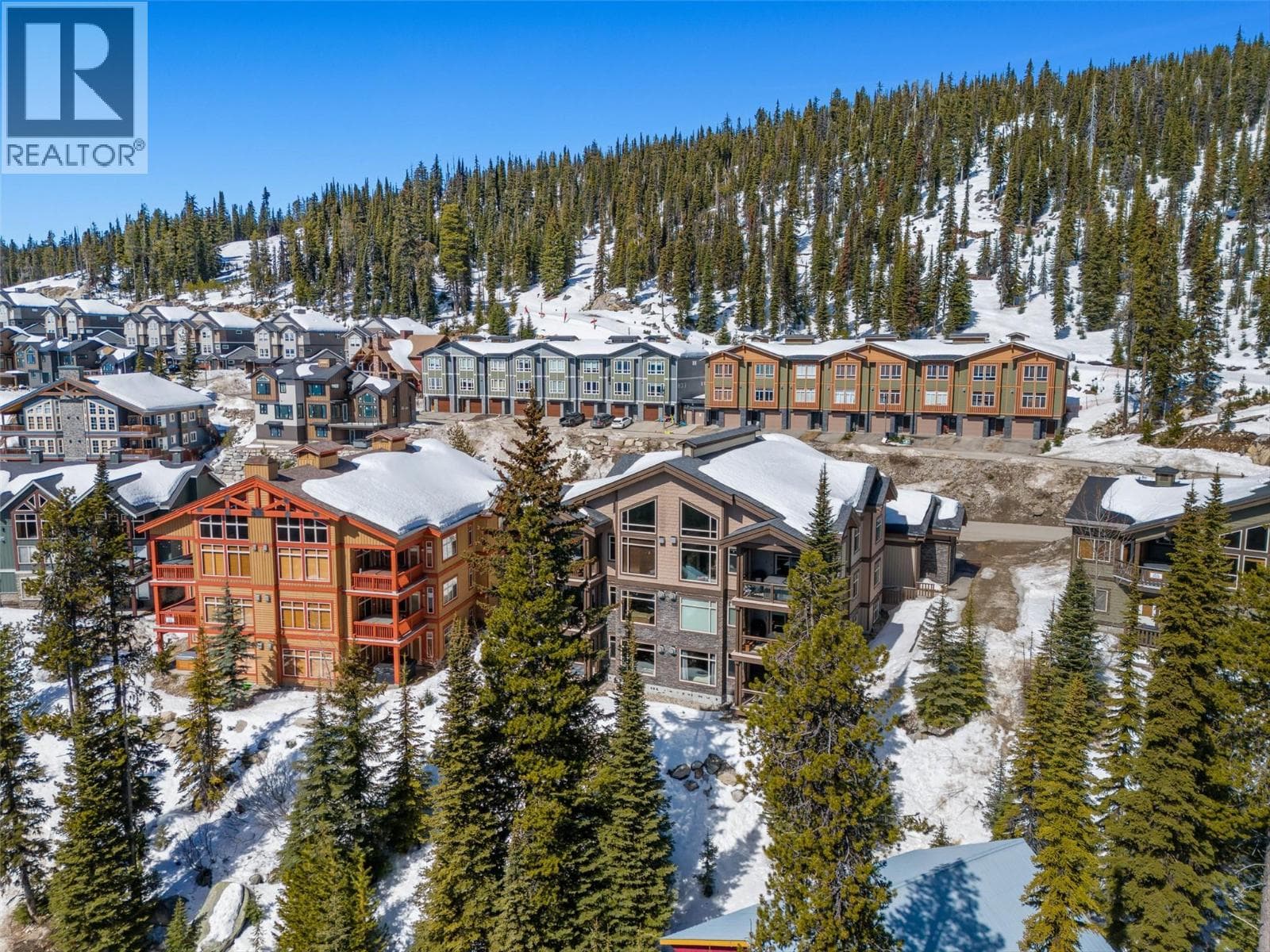 5895 Snow Pines Way Unit# 2 photo 2