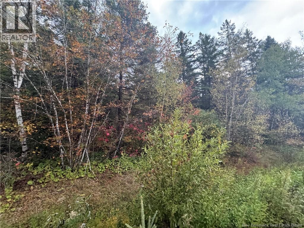 Salem Road photo 3