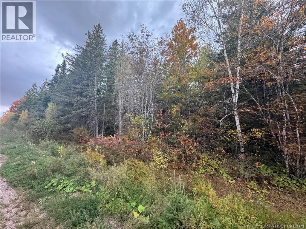 Salem Road photo 4