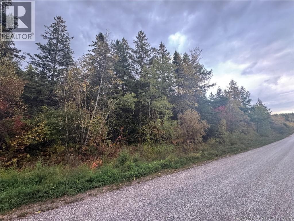Salem Road photo 5