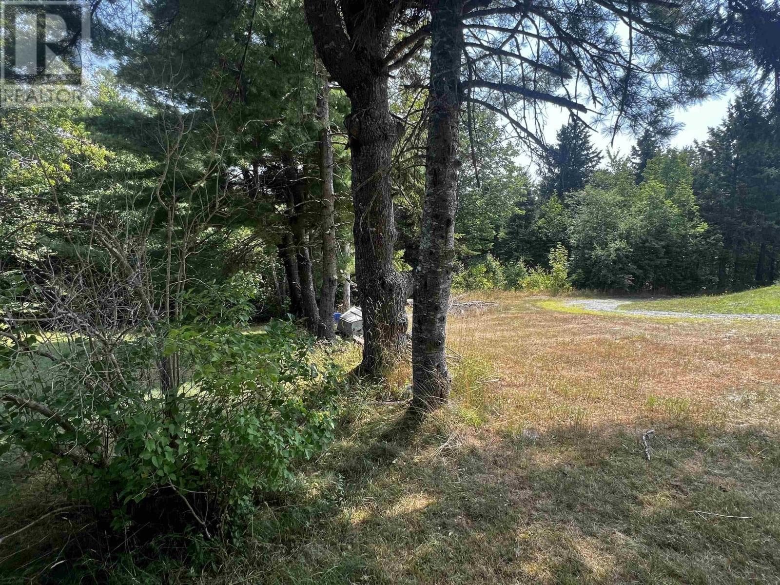 35 shine Drive photo 5