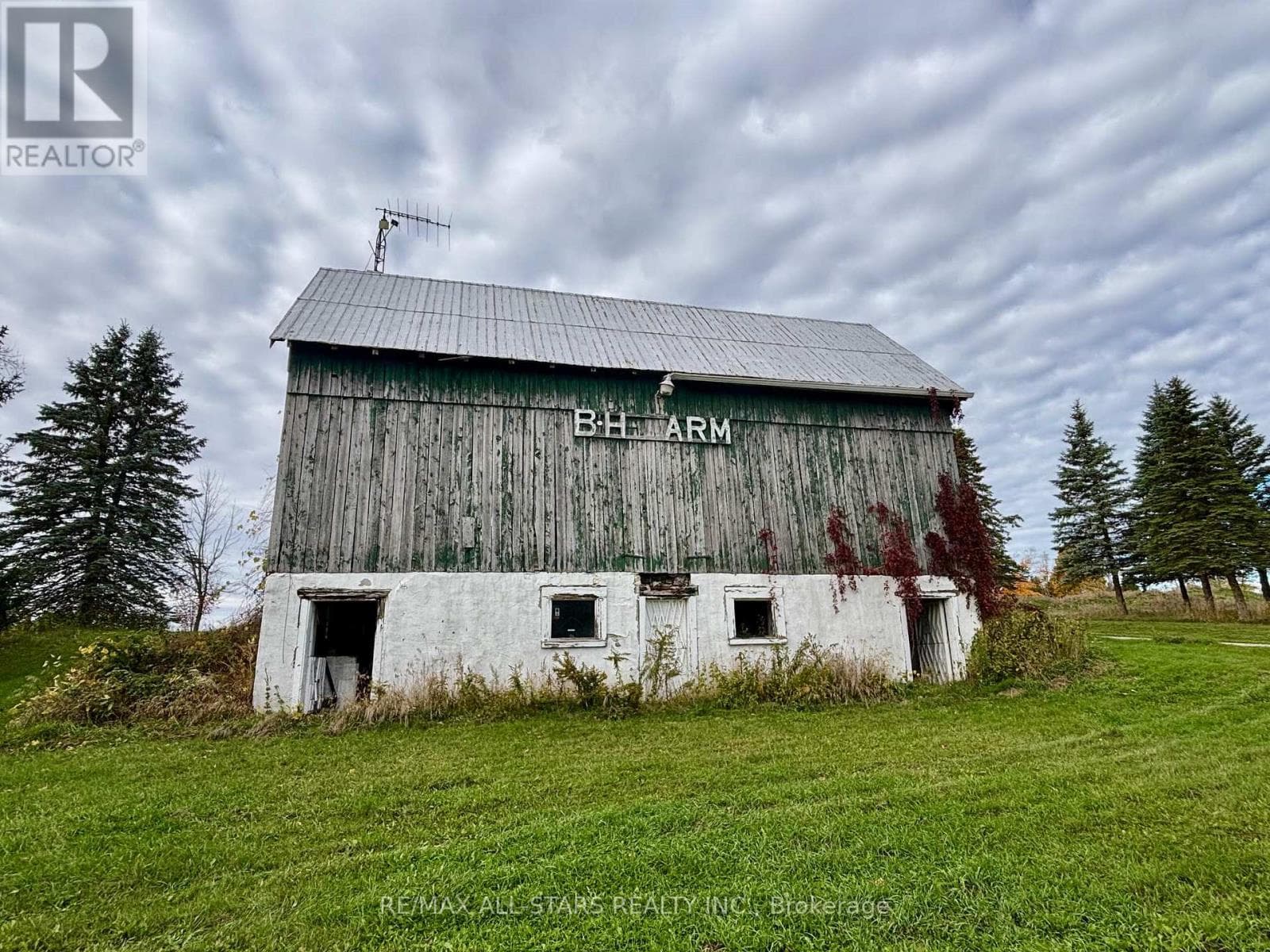 14200 SIDEROAD 18 photo 5