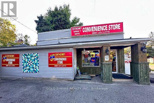 217 CATHCART STREET photo 3