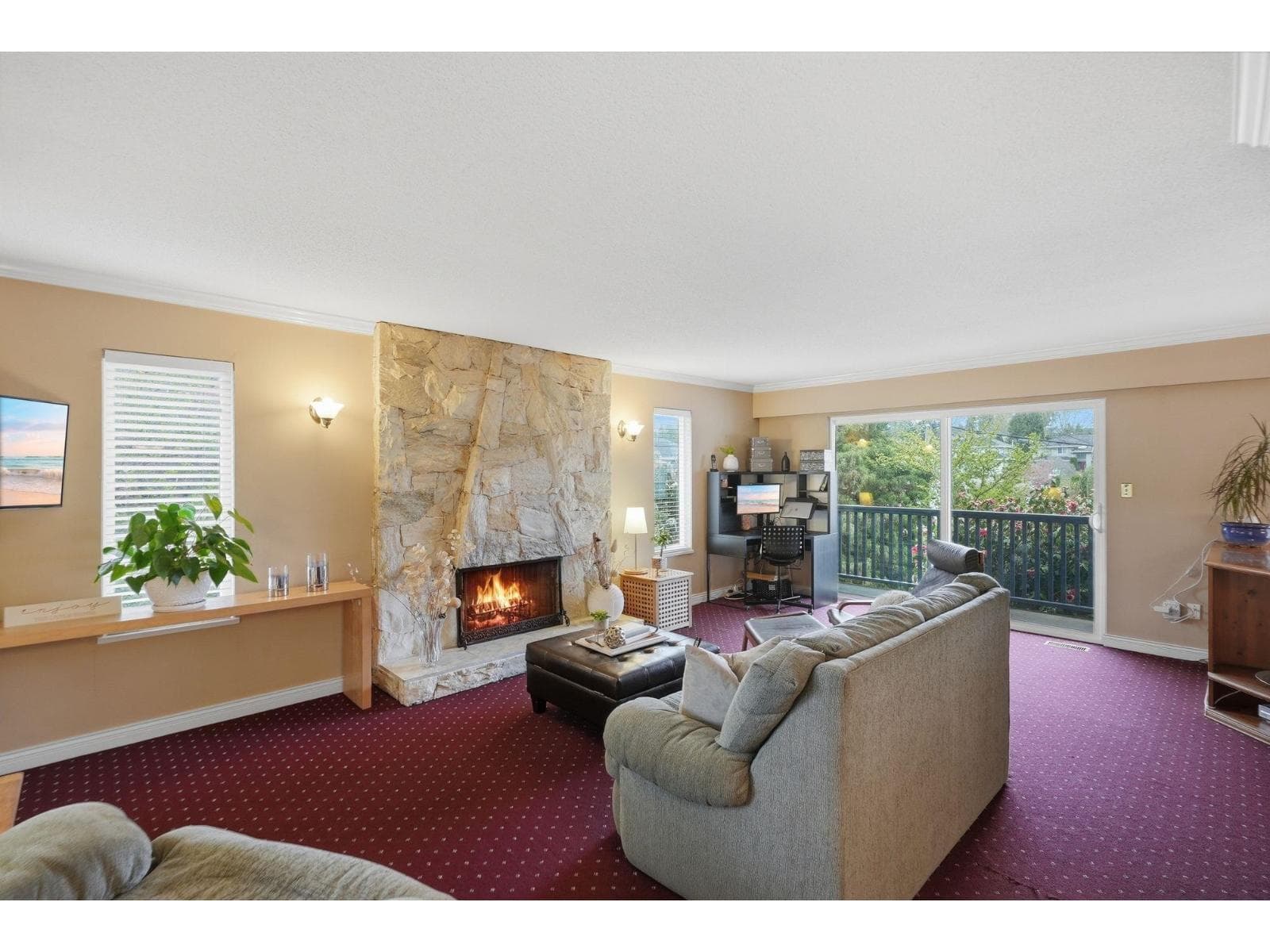 10523 DUNLOP ROAD photo 3