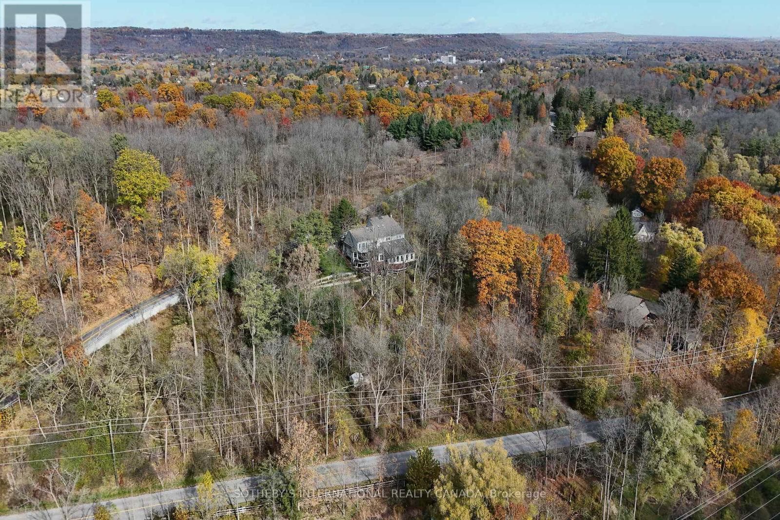 774 OLD DUNDAS ROAD photo 4