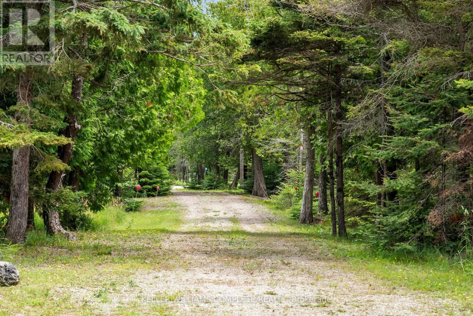 1020 DORCAS BAY ROAD photo 4