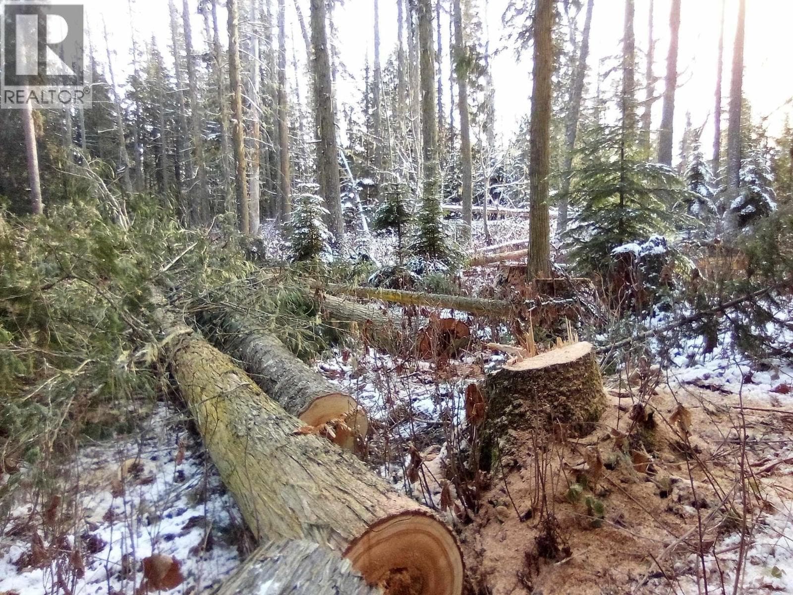 BLK D DOME CREEK photo 4