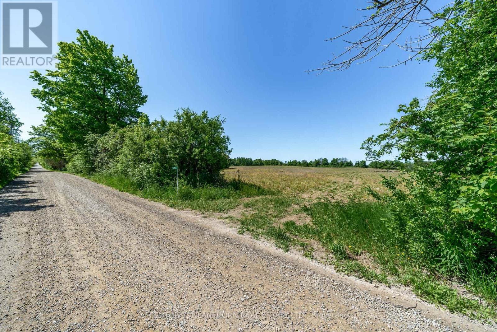 383 CHASE ROAD photo 3