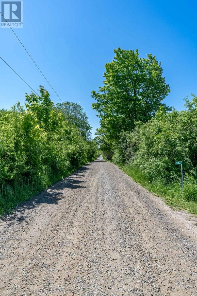383 CHASE ROAD photo 3