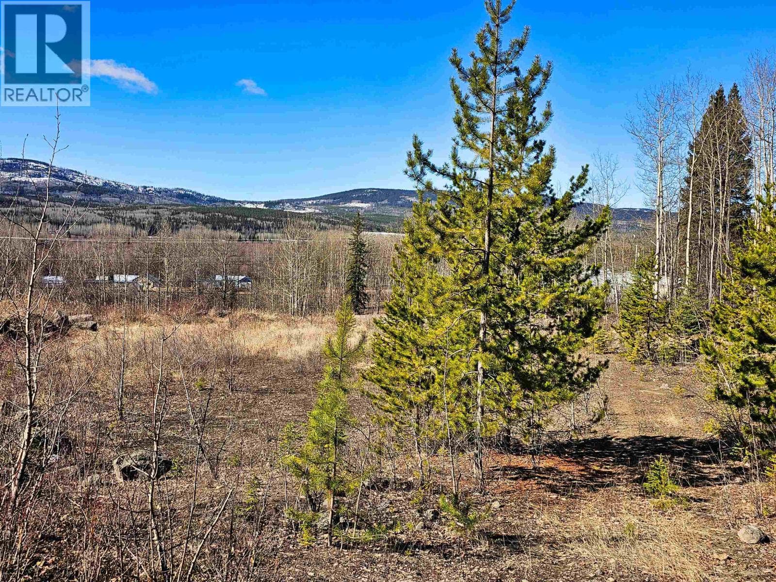 970 NASH ROAD photo 2