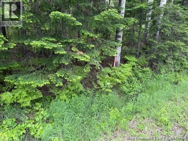 vacant land at Land Wayerton Road — $65,000