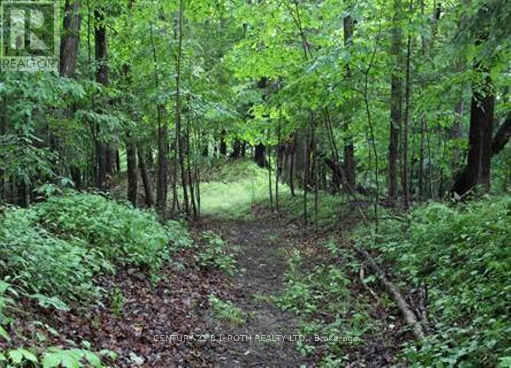 7 FERN LANE photo 5