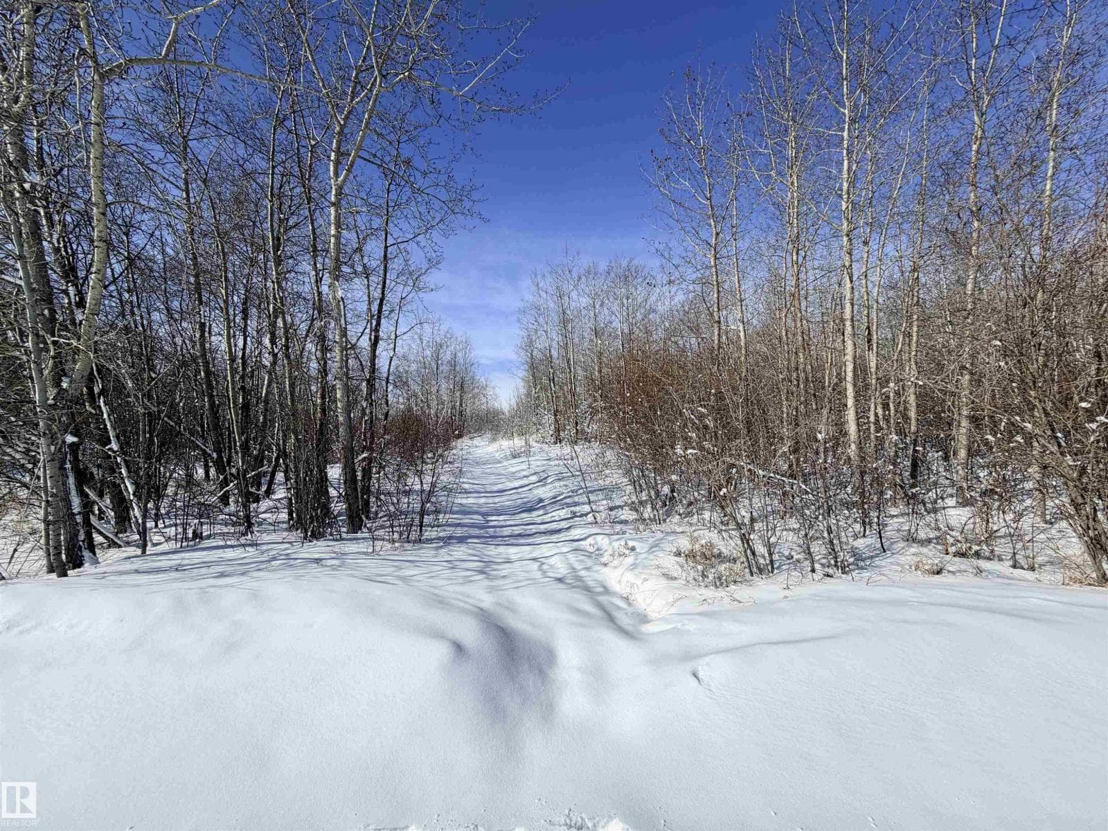 SW 13 56 11 W4 photo 4