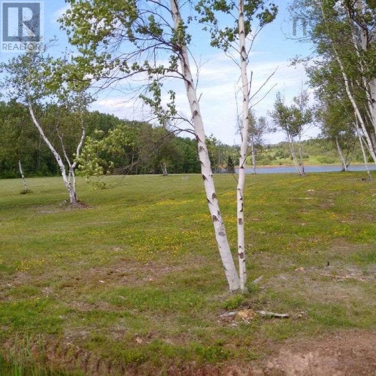 Lot JJMI-1 Jeff Ross Road photo 4