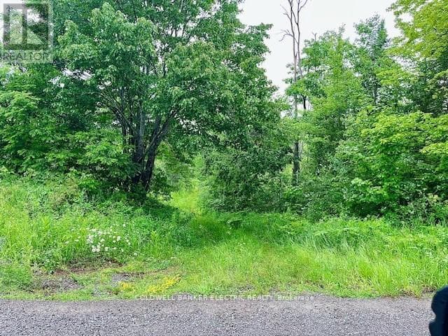 vacant land at 000 LASSWADE ROAD — $257,000
