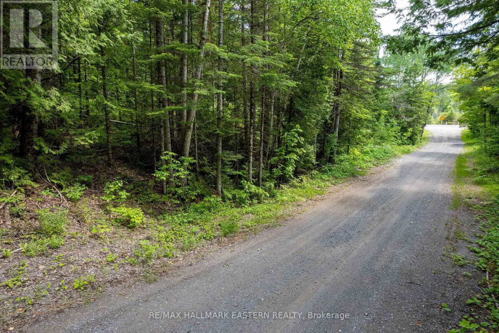 00 JOHNSON ROAD photo 5