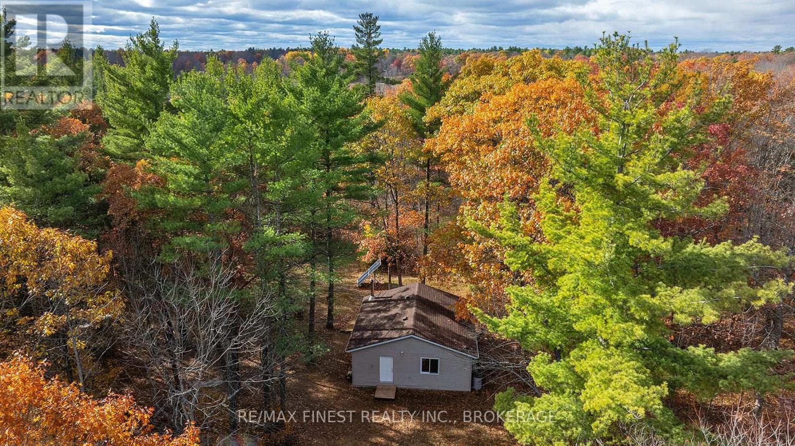 1131 MOON ROAD photo 4