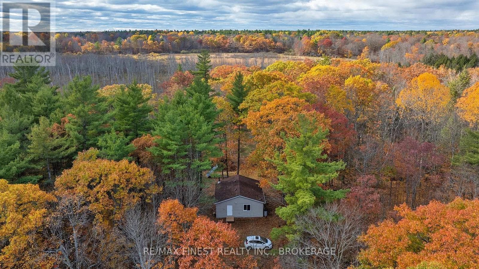 1131A MOON ROAD photo 4