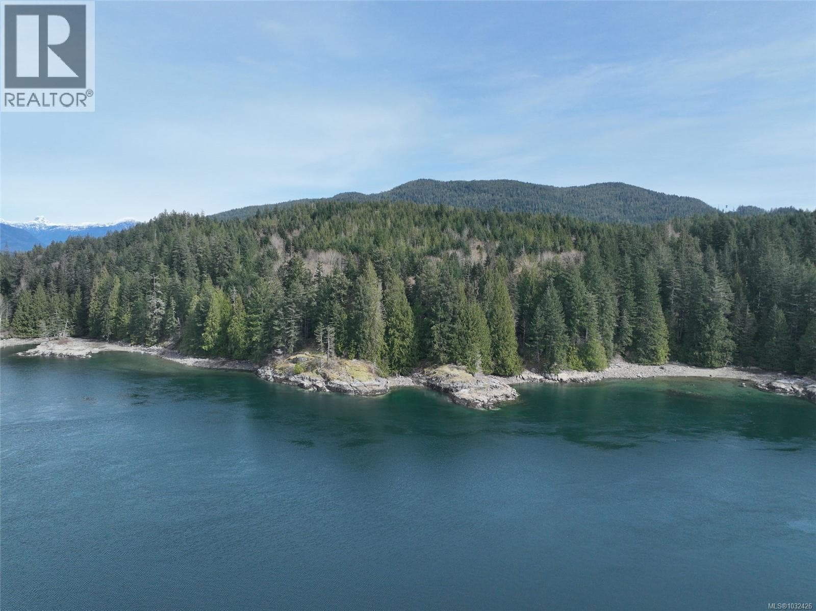 DL363 Read Island photo 4