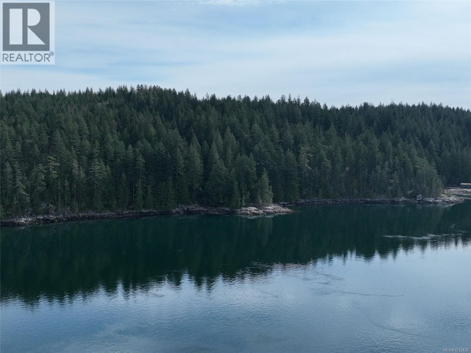 DL363 Read Island photo 5