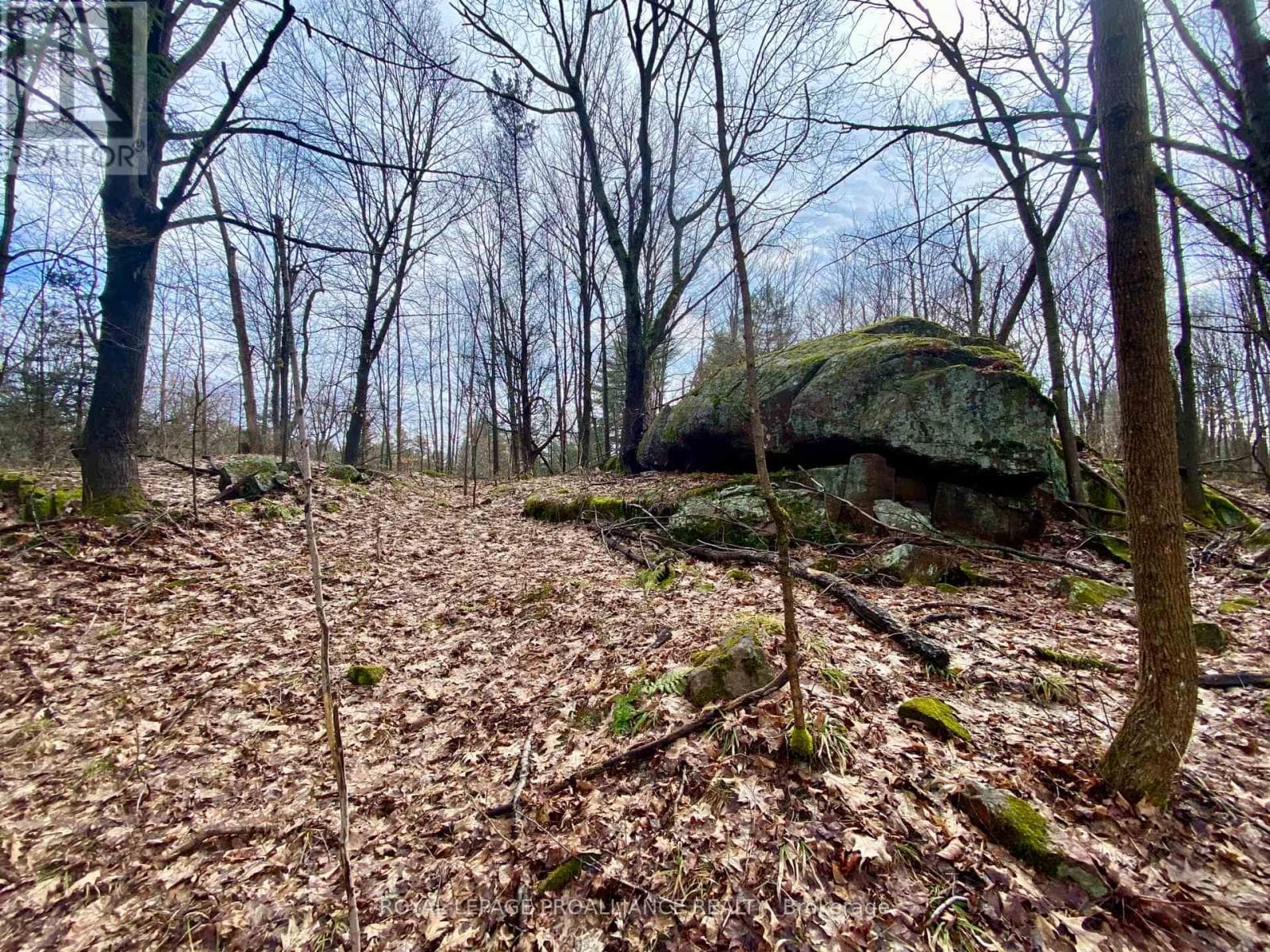 614 THOUSANDS ISLANDS PARKWAY photo 4