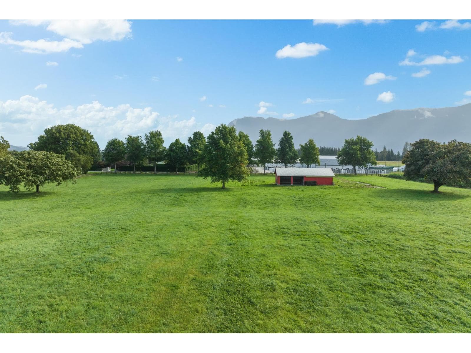 10125 REEVES ROAD, East Chilliwack photo 4
